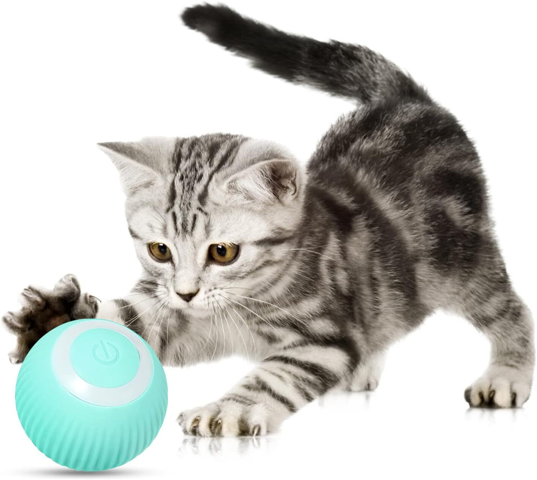 KittyBounce™ - Cat Interactive Ball Toy